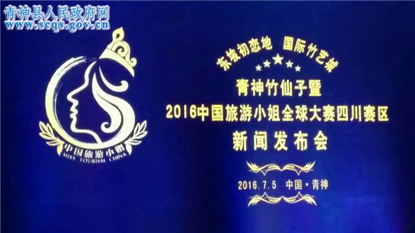新闻发布会LOGO